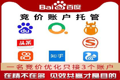 SEM竞价代运营：案例展示数据分析与应用